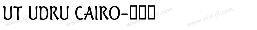 UT UDRU CAIRO字体转换